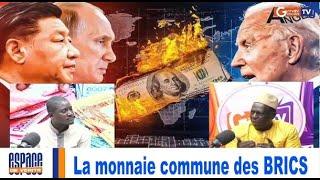 #urgent: La monnaie commune des BRICS