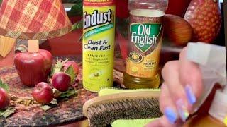 Dusting & Cleaning ASMR! (Soft Spoken version) Spray cans & bottles, wiping, brushing!