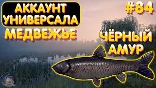 Аккаунт универсала #84 | Медвежье - Амур чёрный | Русская Рыбалка 4