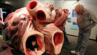 Blue whale's heartbeat from 2 miles! FactAmaze #shorts