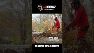 ECHO DPAS-2600 56V professional multi-tool. Connections that matter.
