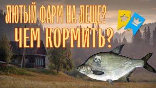 ЛЮТЫЙ ФАРМ НА ЛЕЩЕ? | ЧЕМ КОРМИТЬ?