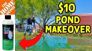 Home Depot Pond Makeover For Less Than $10