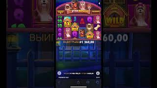 Вечерний занос в DOG НАШ ТЕЛЕГРАМ https://t.me/+_Od3Pan6Kp9lODZi   #casino #заносынедели #казино