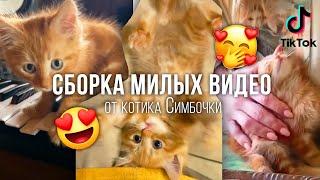 СБОРКА МИЛЫХ ДЕТСКИХ ВИДЕО ОТ СИМБОЧКИ :3 (TIKTOK)