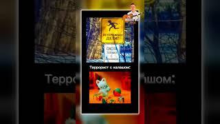 Earn money with the popular Russian streamer - Mellstroy | Subscribe