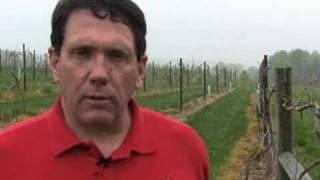 Pennsylvania wine -- the next 50 years