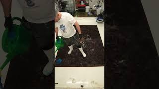 Satisfying ASMR Rug Cleaning #woolrugcleaning