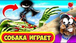 СИРЕНОГОЛОВЫЙ и ЗОМБИ поймали МАКСА! СОБАКА ИГРАЕТ! (Siren Head) Валеришка Макс