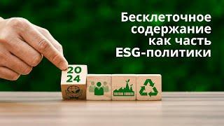 Юрий Корецких: бесклеточные яйца как новый мировой тренд ESG-стратегии - 20.05.2024