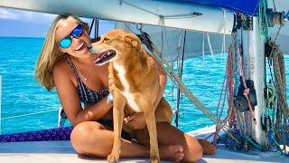 Living On A Boat WITH A DOG || EVERYTHING you ever wanted to know!!