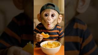 Baby Monkey Tries Chips for the First Time! 