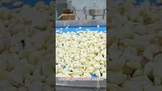 Garlic Peeling And Packaging Processing Line