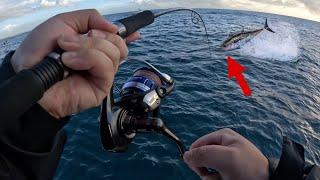 LIGHT TACKLE TUNA! | HIGH SPEED SPINNING