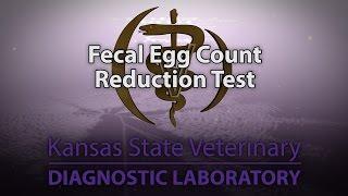 Fecal Egg Count Reduction Test