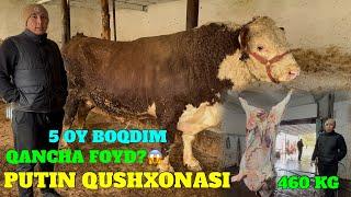 GREEFORD BUQA 23.500.000 olib 5 OY BOQDIM. MANA FOYDA PUTING BO'SHASHMA