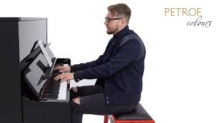 Ludovico Einaudi - Nuvole Bianche | Piano Cover by Norbert Danis | PETROF COLOURS