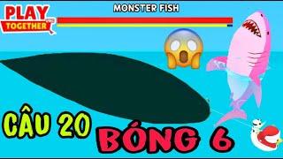 (Play Together) 48h Câu Cá Bóng 6 Tìm Kiếm Cá Mập Megalodon Hồng