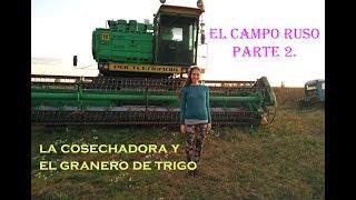 El campo del TRIGO. AGRICULTURA moderna en Rusia..)) Chica del campo.(parte2) VLOG.