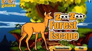 Forest Escape walkthrough Zoo Zoo Games.