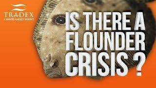 3MMI - Is There a Flounder Crisis?