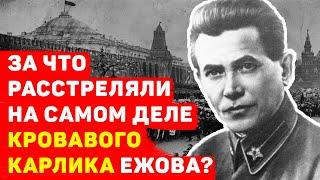 ЗА ЧТО СТАЛИН РАССТРЕЛЯЛ КРОВАВОГО КАРЛИКА ЕЖОВА НА САМОМ ДЕЛЕ?