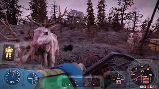 Fallout 76 - Kill a Radstag (0/9) Easy Location to find Radstag's