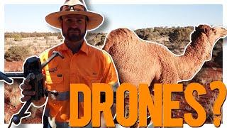 Support the Drones for Dromedaries Campaign!