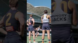 Home just hits different  #adelaidecrows #afl #adelaideoval