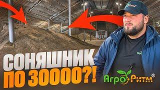 ЩО БУДЕ З ЦІНОЮ НА СОНЯШНИК?БУДЕ 30000?