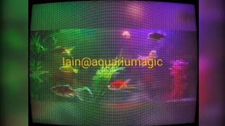 Welcome to ‎@iain@aquariumagic  Please Visit and Subscribe