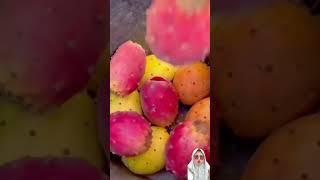 Cara petik buah kaktus #shorts #shortvideo #funny #viralvideo #reaction