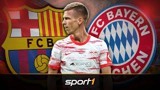 Macht Bayern Barcelona Konkurrenz bei Olmo? | SPORT1 - TRANSFERMARKT