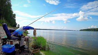 Чемпионат Тверской области по ловле фидером, feeder fishing!