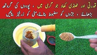 Organic fertilizer for summer|Summer fertilizer