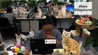 The People's Daily is Run By Cats | China Uncensored