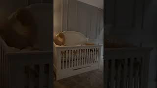 lara's room ️ #shorts