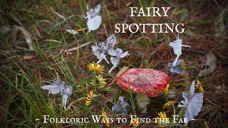 How to Spot Fairies 101