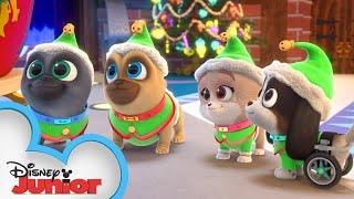 Merry Christmas from Bingo, Rolly, and Keia!  | Puppy Dog Pals | Disney Junior