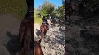 Sunday ride 2023
