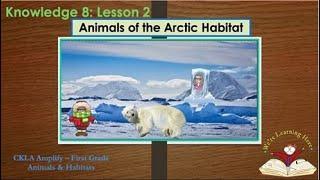 Knowledge 8 Lesson 2 Animals of the Arctic Habitat