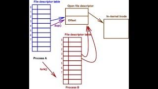 W05a: Unix and Linux internals