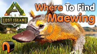 ARK Lost Island MAEWING Spawn Locations #ARK