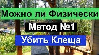 Пасека #44 Можно ли  физически  убить клеща ? Пасека - Почему погибает клещ ? Пасека Пчеловодство.