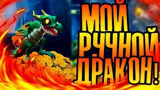 Hungry Dragon обзор! | Ручной дракон в Hungry Dragon!