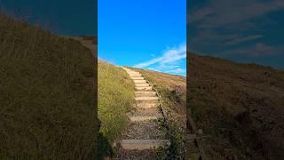 Amazing Badbury Rings , once an Iron Age hill Fort #nature #explore #history #uk