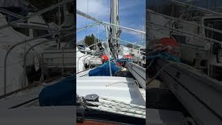TaYana 37