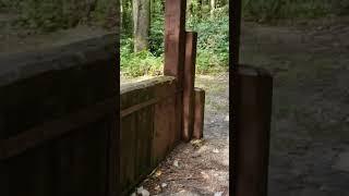 Old Amphitheater in the Cherokee National Forest (Rock Creek)