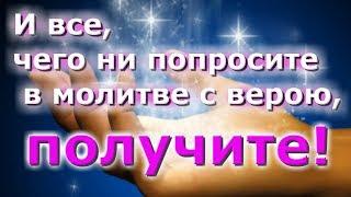 Молитвы. И все, чего ни попросите в молитве с верою, получите - Пестов Н.Е.