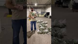 Who supplies Hemp Flower Pounds our of Missouri?